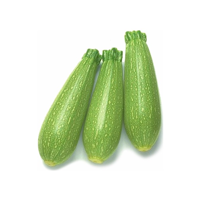 كوسا