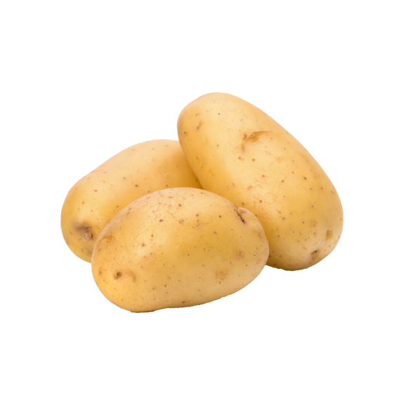 بطاطا محلية