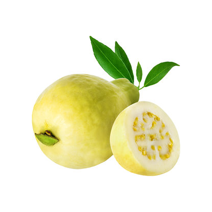 جوافة بلدية