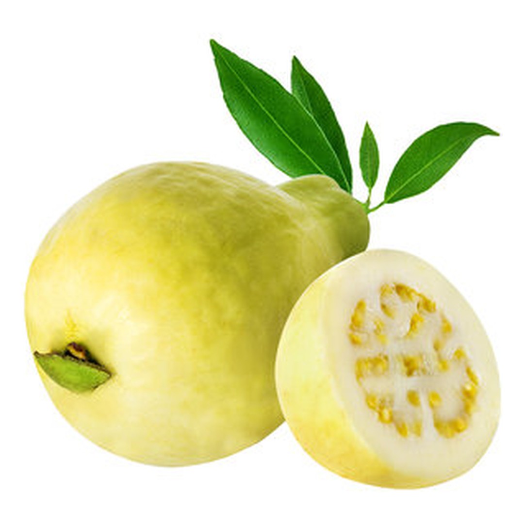جوافة بلدية