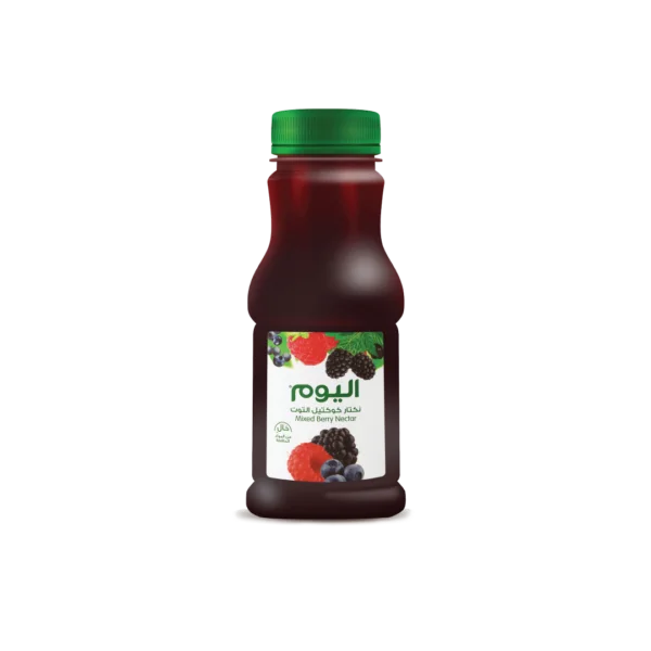 Alyoum Berry Cocktail Juice 250ml