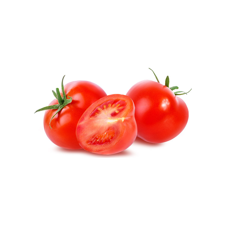 بندورة بلدية