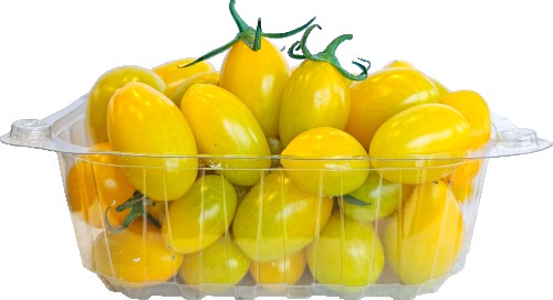 تشيري صفراء علبة