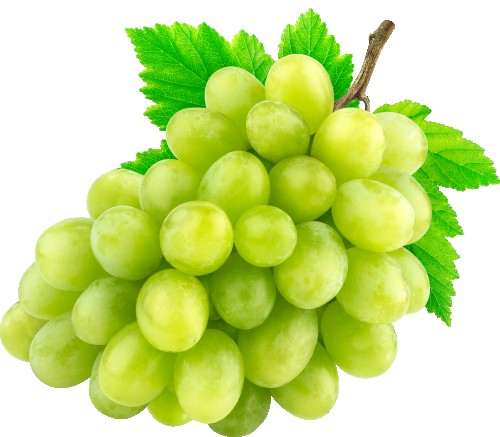 عنب بلدي