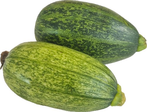كوسا بلدي