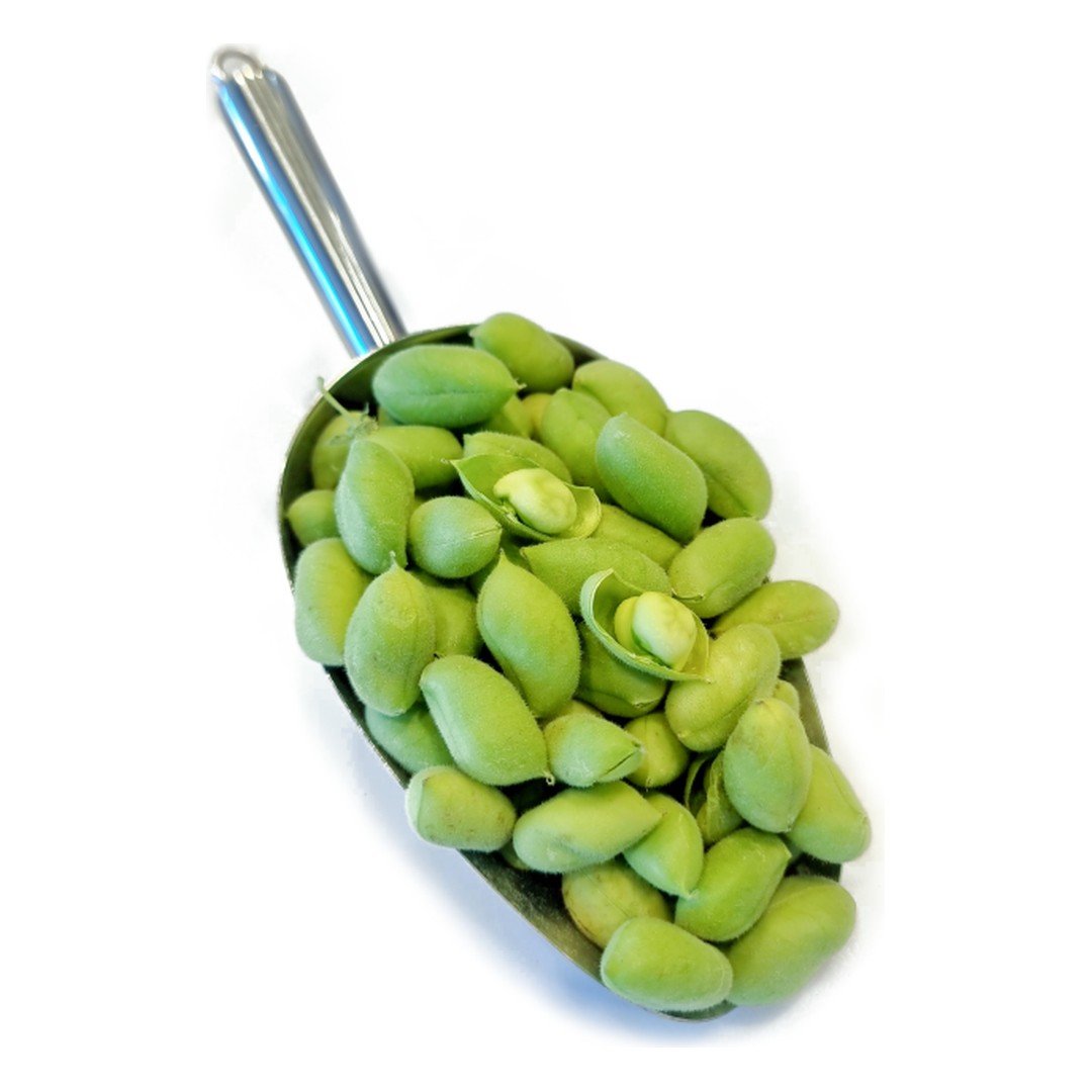 حمص أخضر (حاملة)