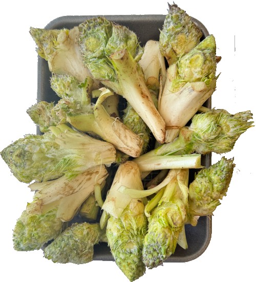 عكوب-محلي