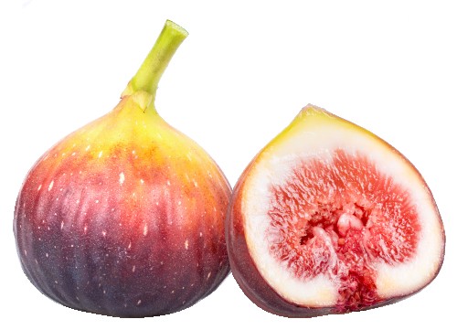 تين أسود