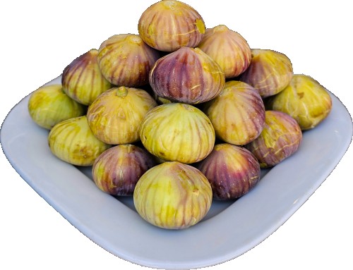 تين زراقي