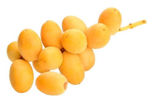 بلح